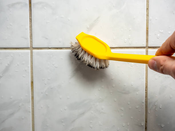 Best Attic Mold Removal  in Powells Crossroads, TN