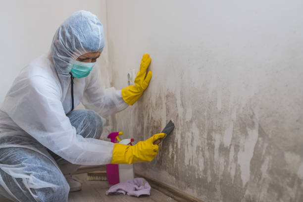 Best Mold Testing  in Powells Crossroads, TN