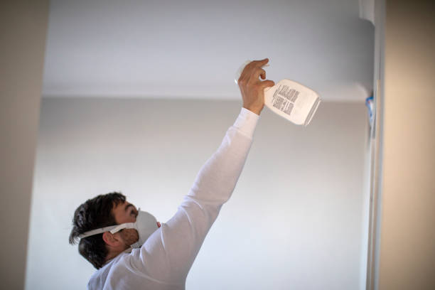 Best Fast Mold Removal  in Powells Crossroads, TN