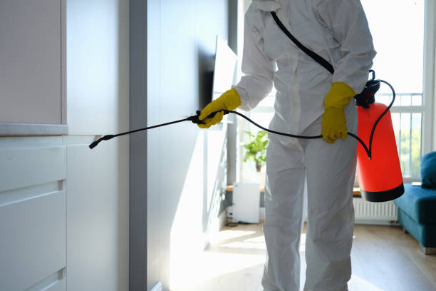 Best Certified Mold Removal  in Powells Crossroads, TN